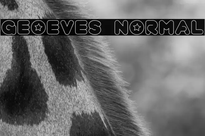 geoeves normal Font examples