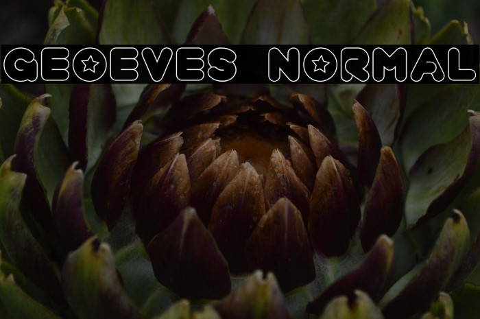 geoeves normal Example 3