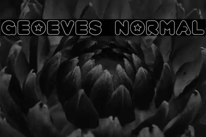 geoeves normal Font examples