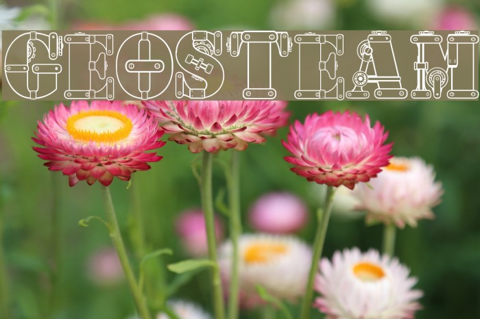 geosteam Font examples