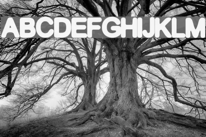 GF Becker Font examples