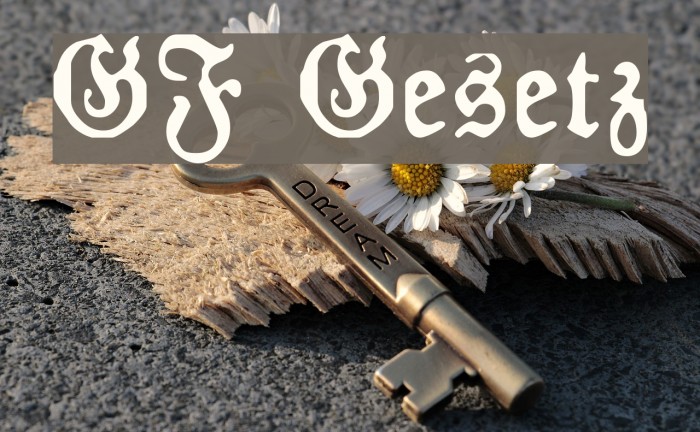 GF Gesetz Font examples