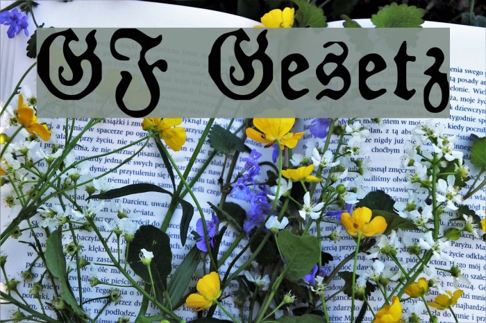 GF Gesetz Font examples