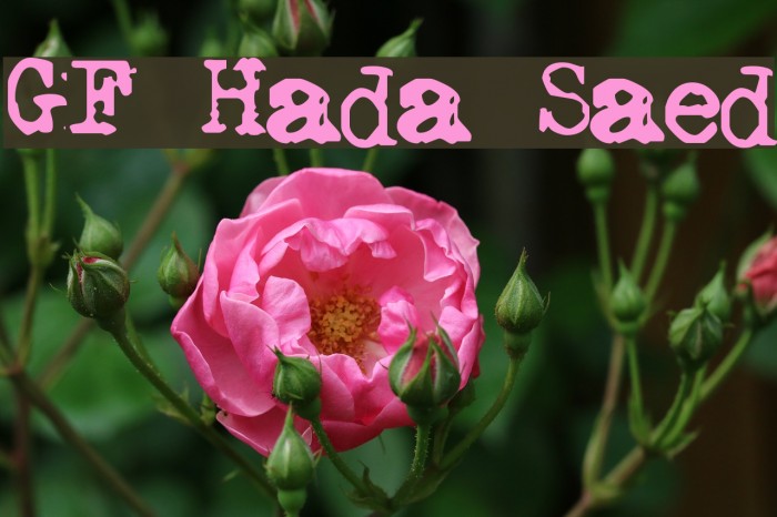 GF Halda Smashed Schriftart examples
