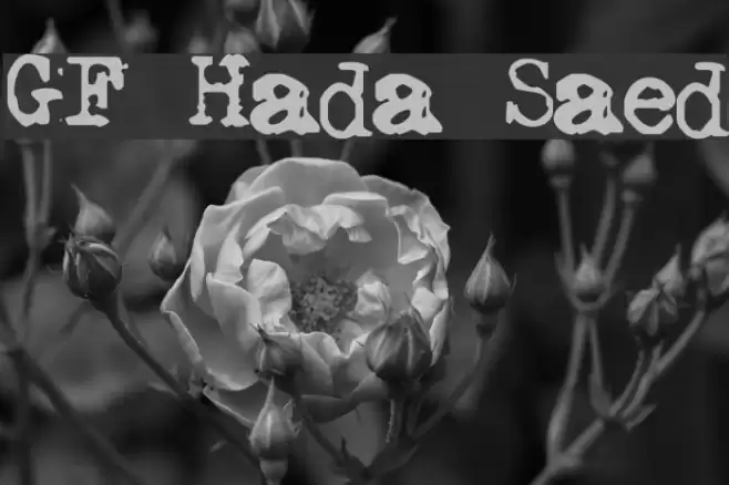 GF Halda Smashed Caratteri examples