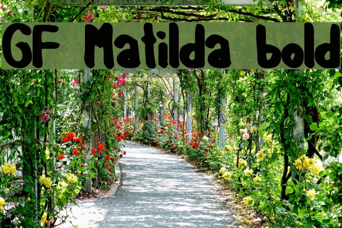 GF Matilda bold Font examples
