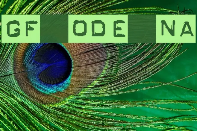 GF Ordner Normal Example 2