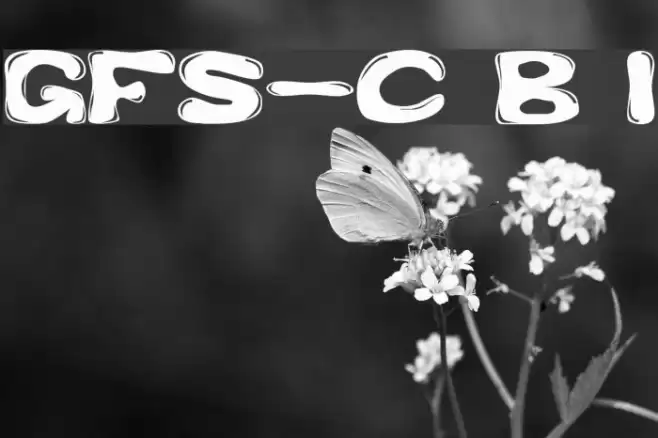 GFS-Custom Bubble 1 Schriftart examples