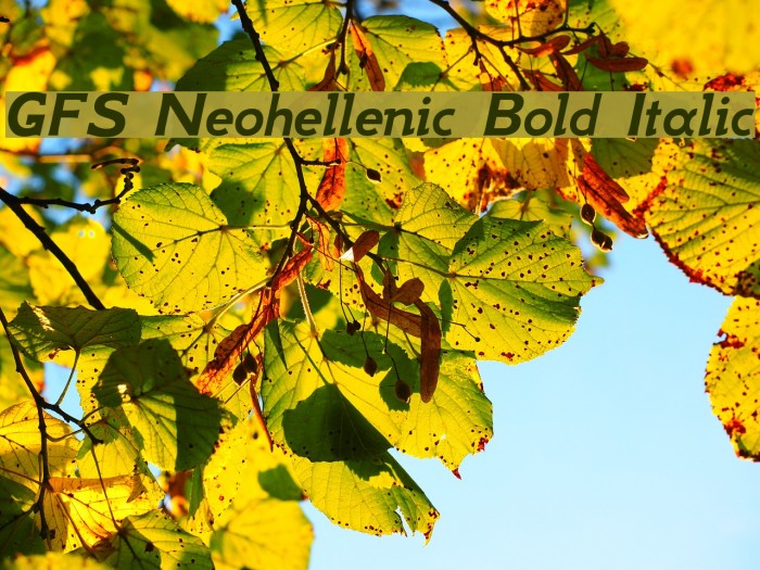 GFS Neohellenic Bold Italic Font examples