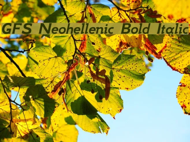 GFS Neohellenic Bold Italic Example 2