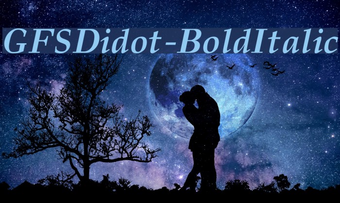 GFSDidot-BoldItalic Font examples