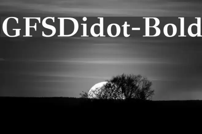 GFSDidot-Bold Font examples