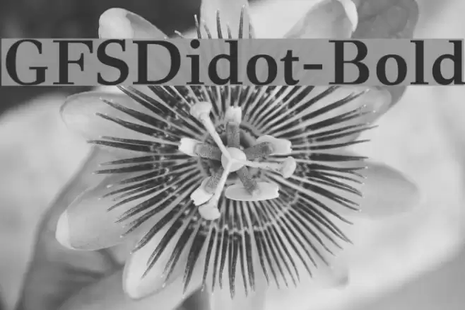 GFSDidot-Bold Font examples