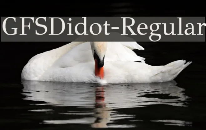 GFSDidot-Regular Example 3