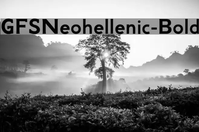 GFSNeohellenic-Bold Font examples