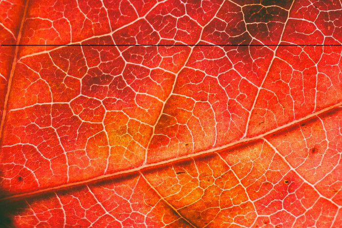 GFSPyrsos-Regular Example 3