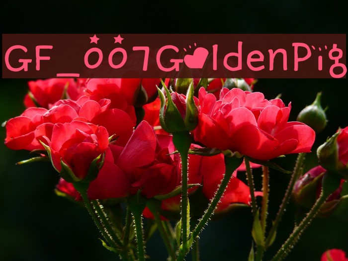 GF_007GoldenPig Font examples