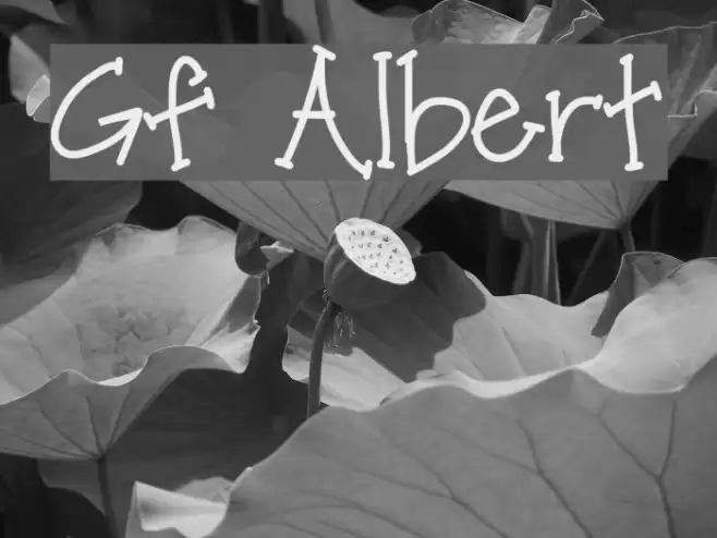 Gf Albert Font examples