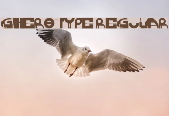 GHEROTYPE REGULAR Example 2