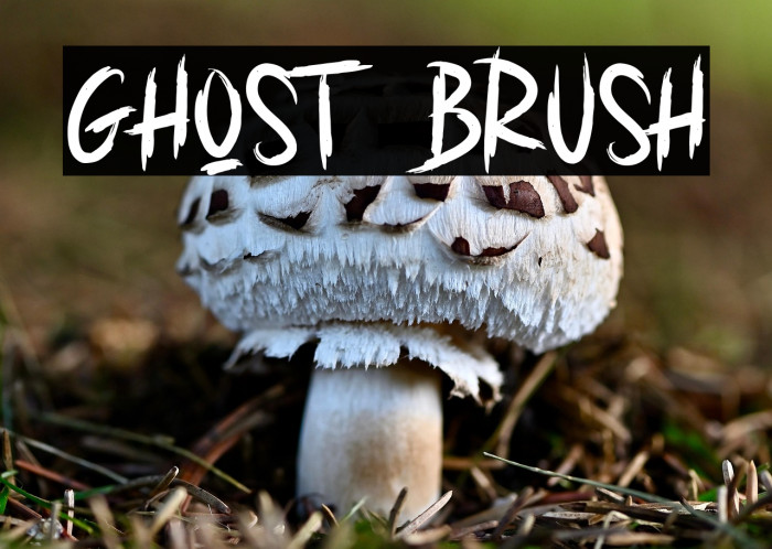 GHOST BRUSH Example 1
