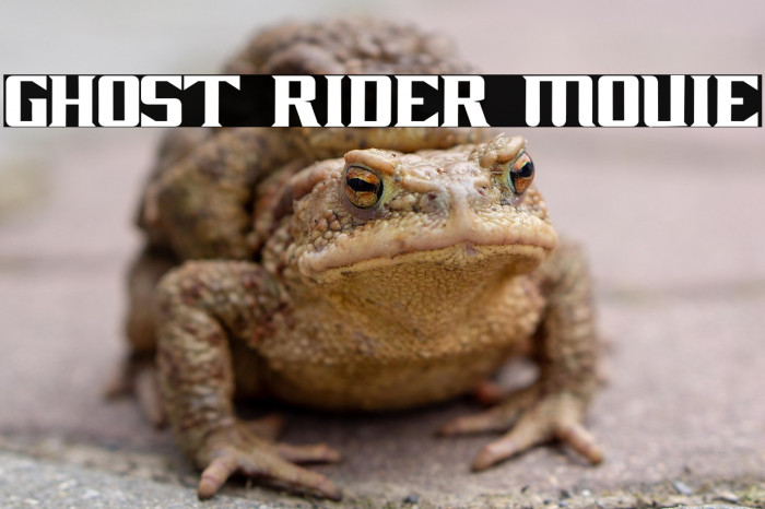 GHOST RIDER MOVIE Example 2