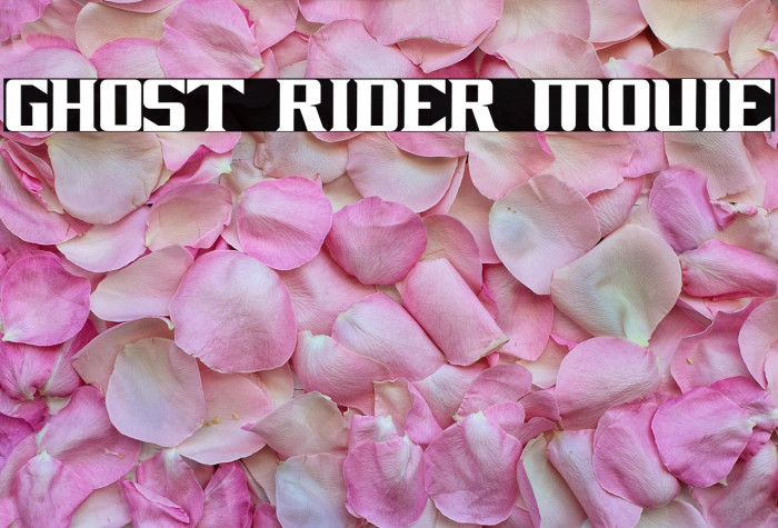 GHOST RIDER MOVIE Example 3