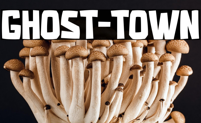 GHOST-TOWN Example 1