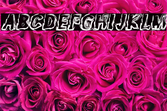 GHOSTS ITALC PERSONAL USE Bold Italic Example 2