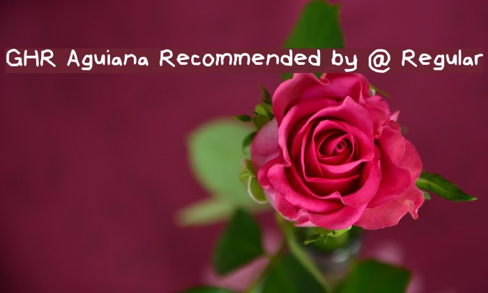 GHR Aguiana [Recommended by @ Regular Font examples