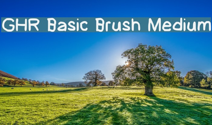 GHR Basic Brush Medium Font examples