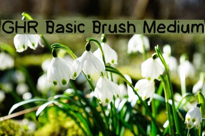 GHR Basic Brush Medium Font examples