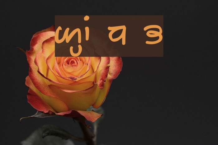 GHW Dukandar Bold Font examples