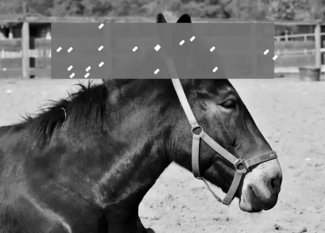 GHW Dukandar Marker Bold Tips Шрифта examples