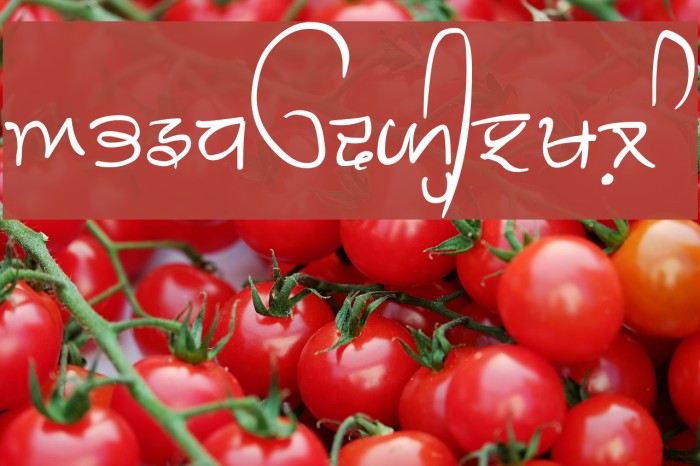 GHW Dukandar Font examples