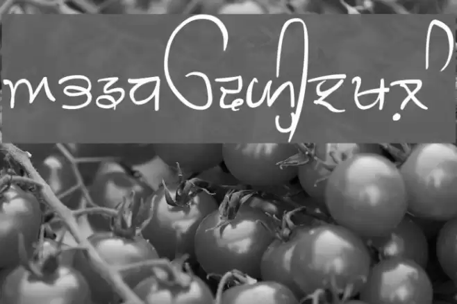 GHW Dukandar Шрифта examples