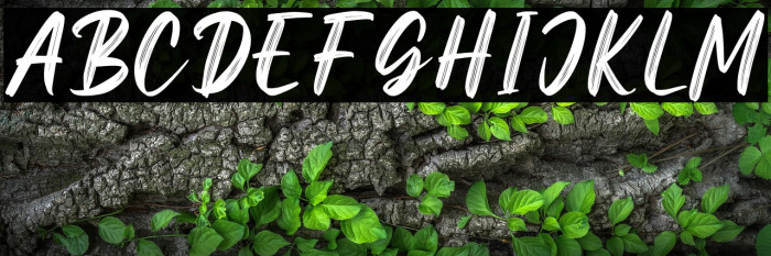 Ghaitsa Personal Use Example 2