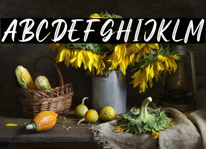 Ghaitsa Personal Use Example 3