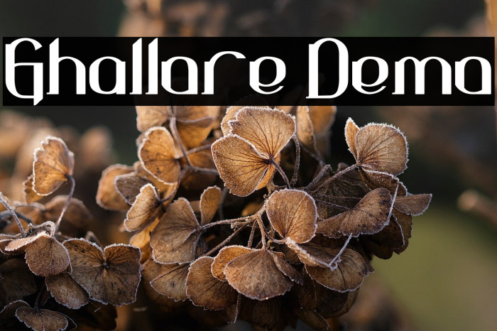 Ghallore Demo Example 2