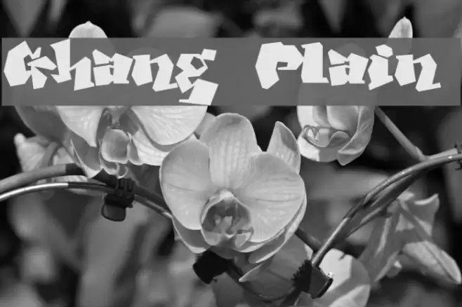 Ghang Plain Fonte examples