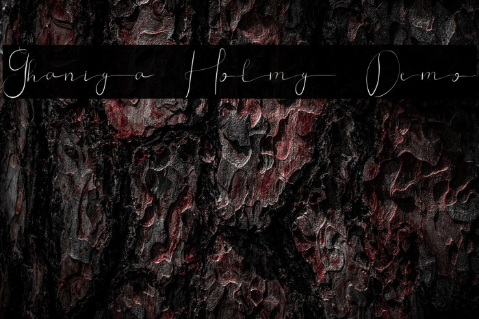 Ghaniya Holmy Demo Example 1