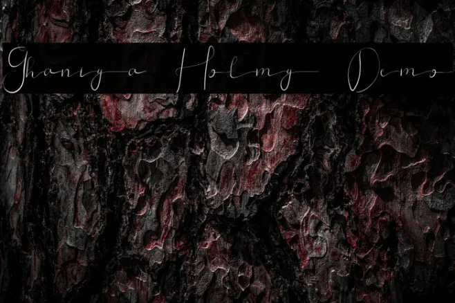 Ghaniya Holmy Demo Example 1