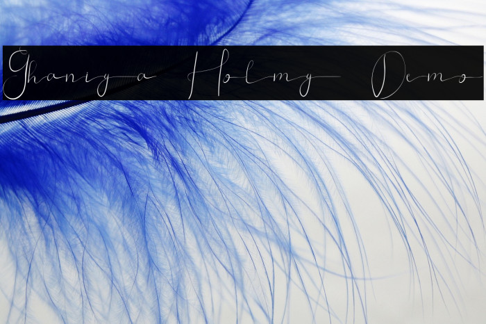 Ghaniya Holmy Demo Example 2