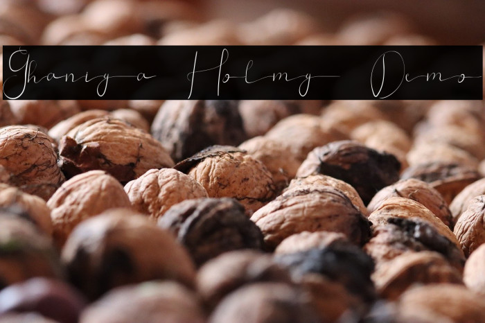 Ghaniya Holmy Demo Example 3