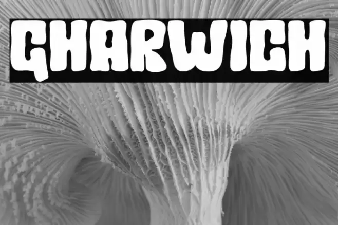 Gharwich Font examples