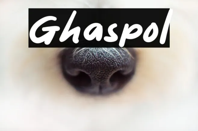 Ghaspol Example 2
