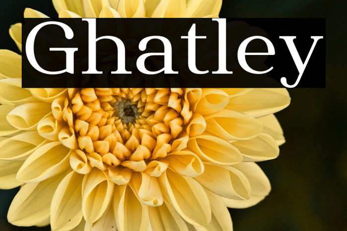 Ghatley Example 1
