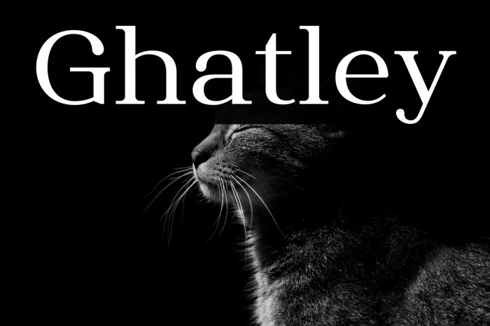Ghatley Example 2