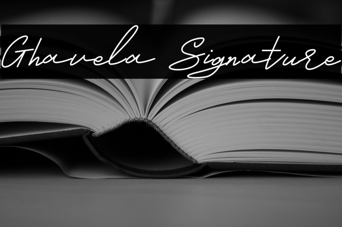 Ghavela Signature Example 1
