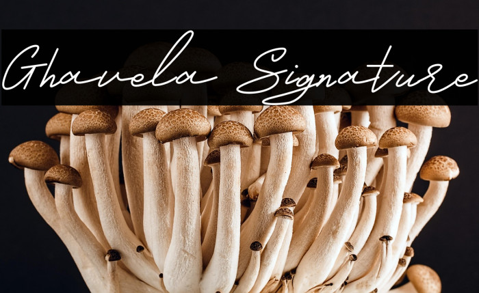Ghavela Signature Example 2