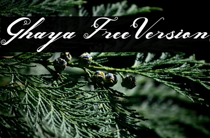 Ghaya FreeVersion Example 1
